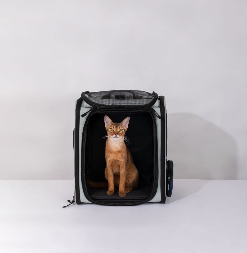 Backpack Pet Carrier | Tent Backpack - honeydewpets