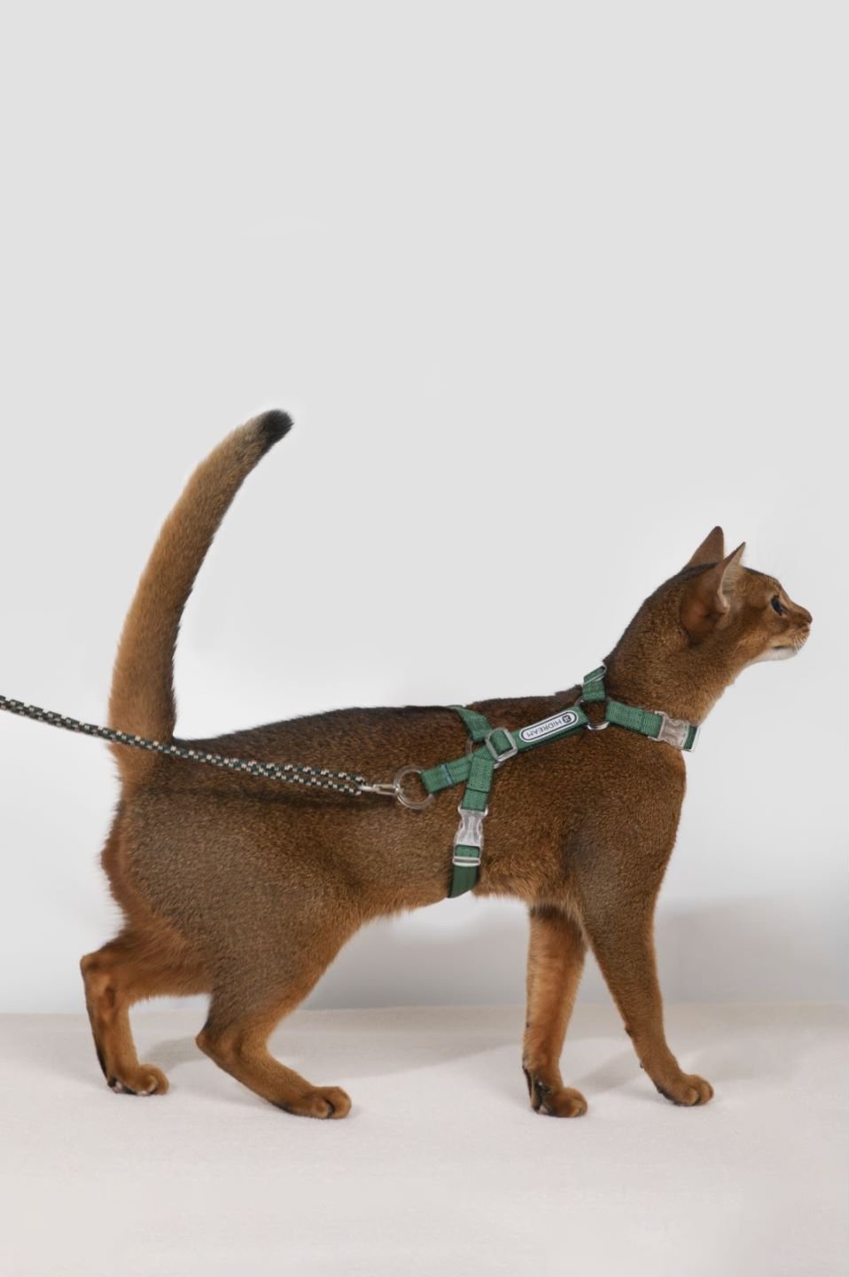 Cat Harness Set - Escape Proof Cat Harness - honeydewpets