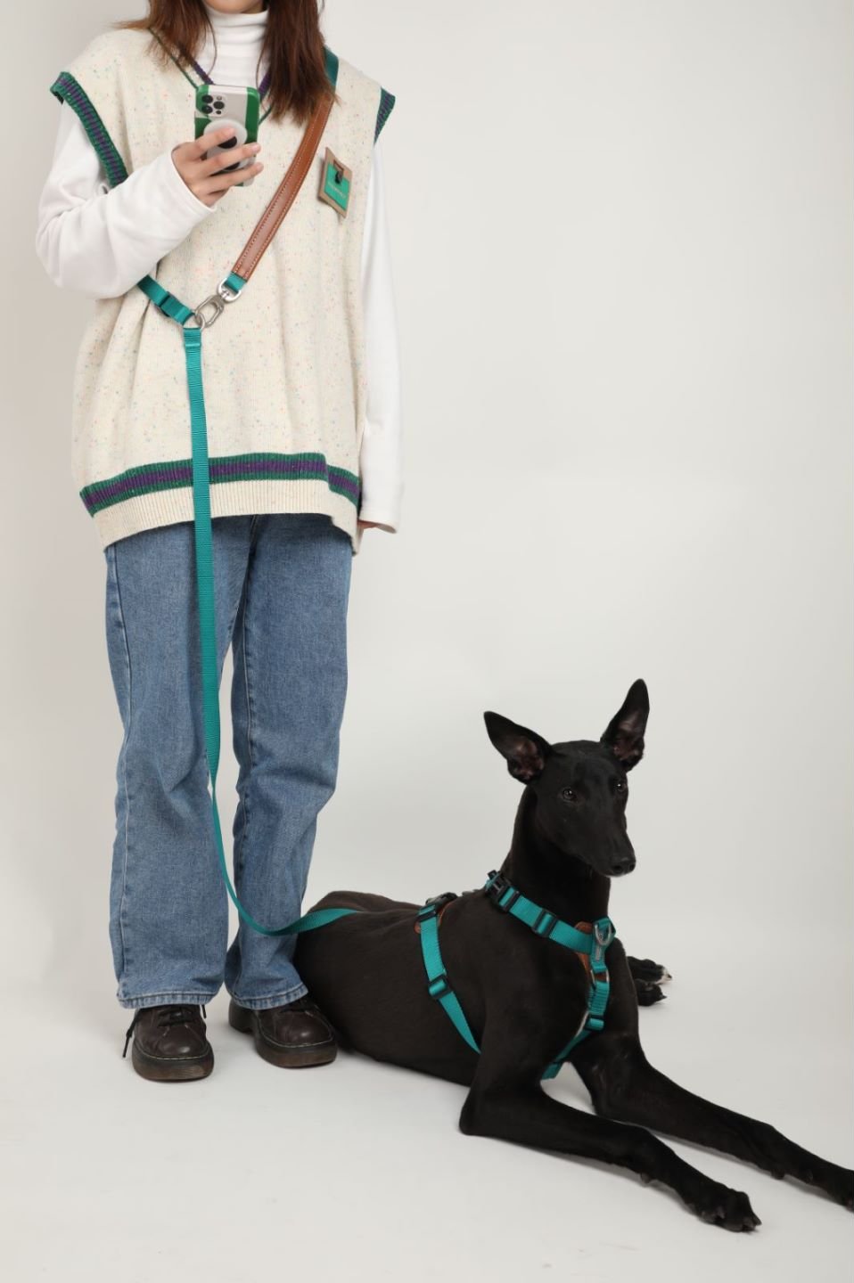 Explorer Series - Handsfree Dog Leash | Double Dog Leash - honeydewpets