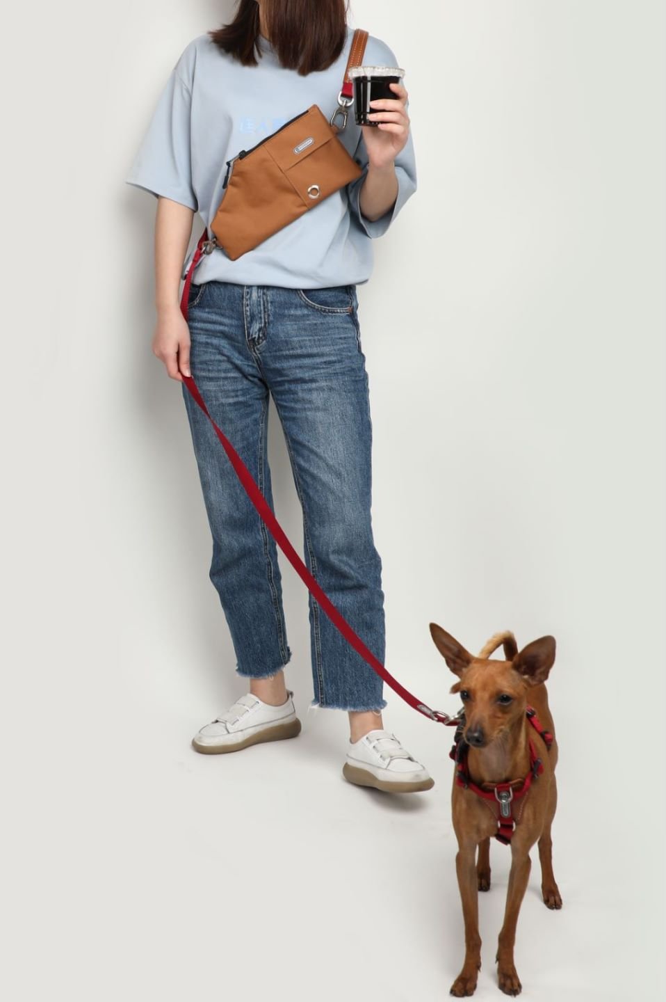 Explorer Series - Handsfree Dog Leash | Double Dog Leash - honeydewpets