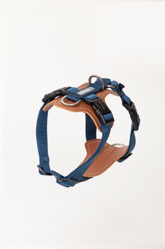 Explorer Series - Leather Dog Harness - honeydewpets