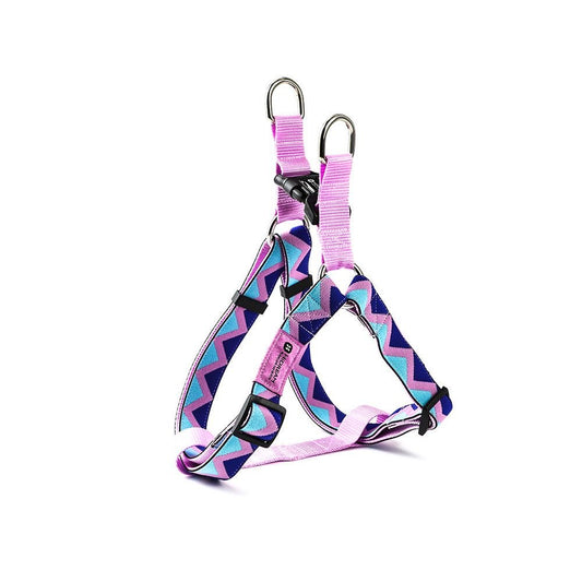 Rainbow Series - Y-Shaped Dog Harness - honeydewpets